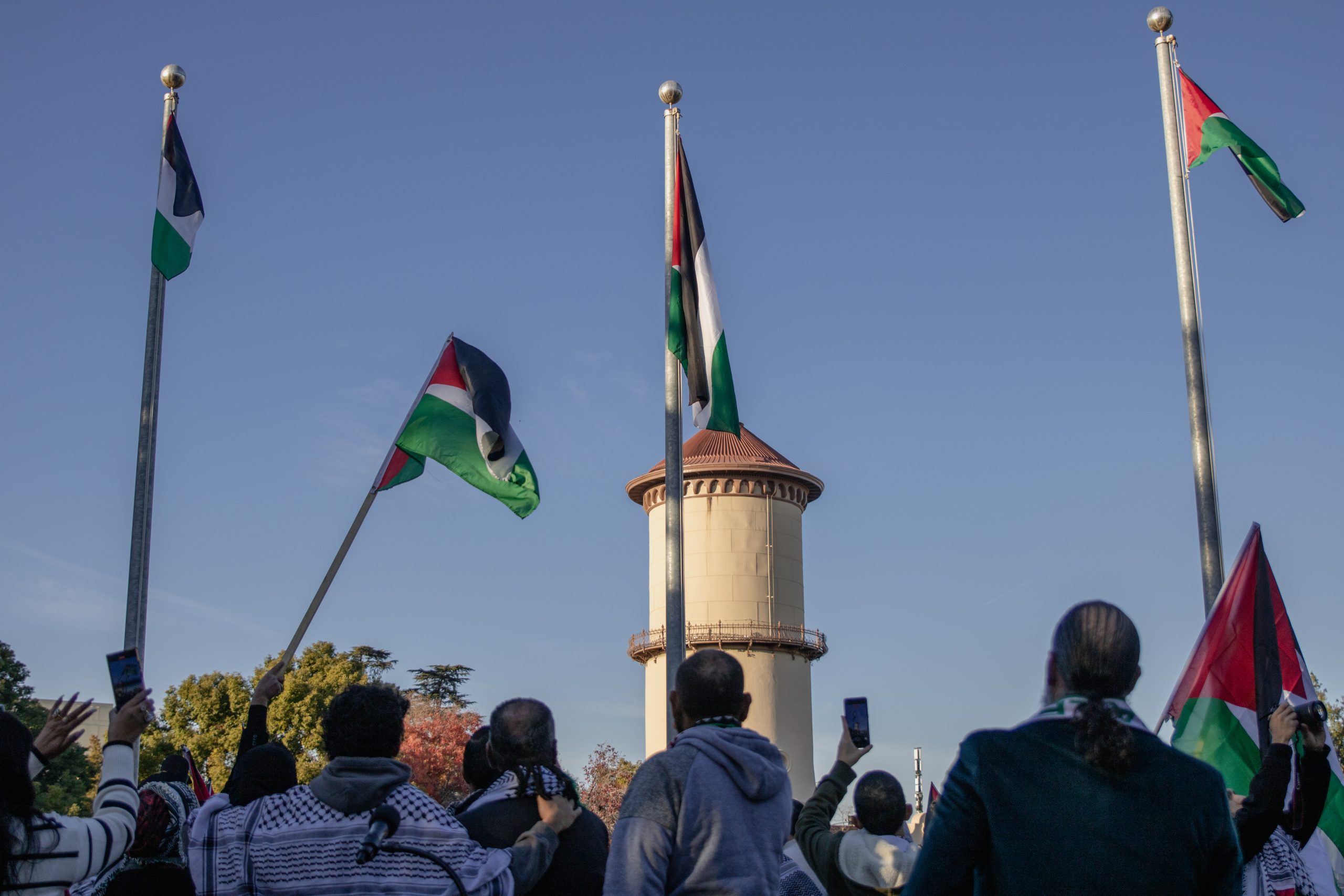 hundreds-gather-to-raise-the-palestinian-flag-in-downtown-fresno