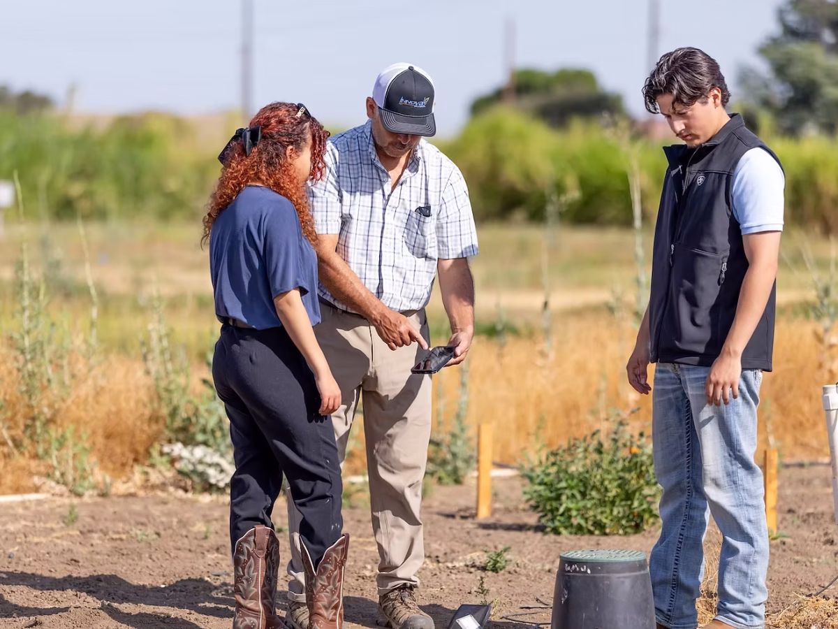 F3i TerraTech Summer Internship Opportunity