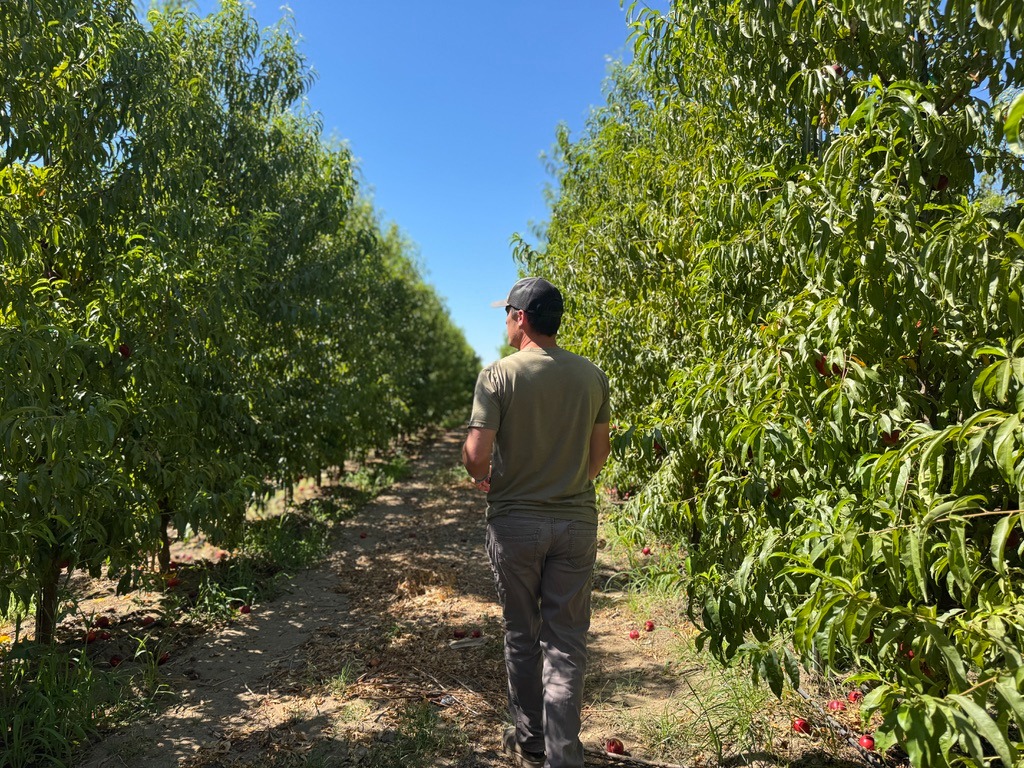 F3I launches supercomputer at Fresno State to aid farmers