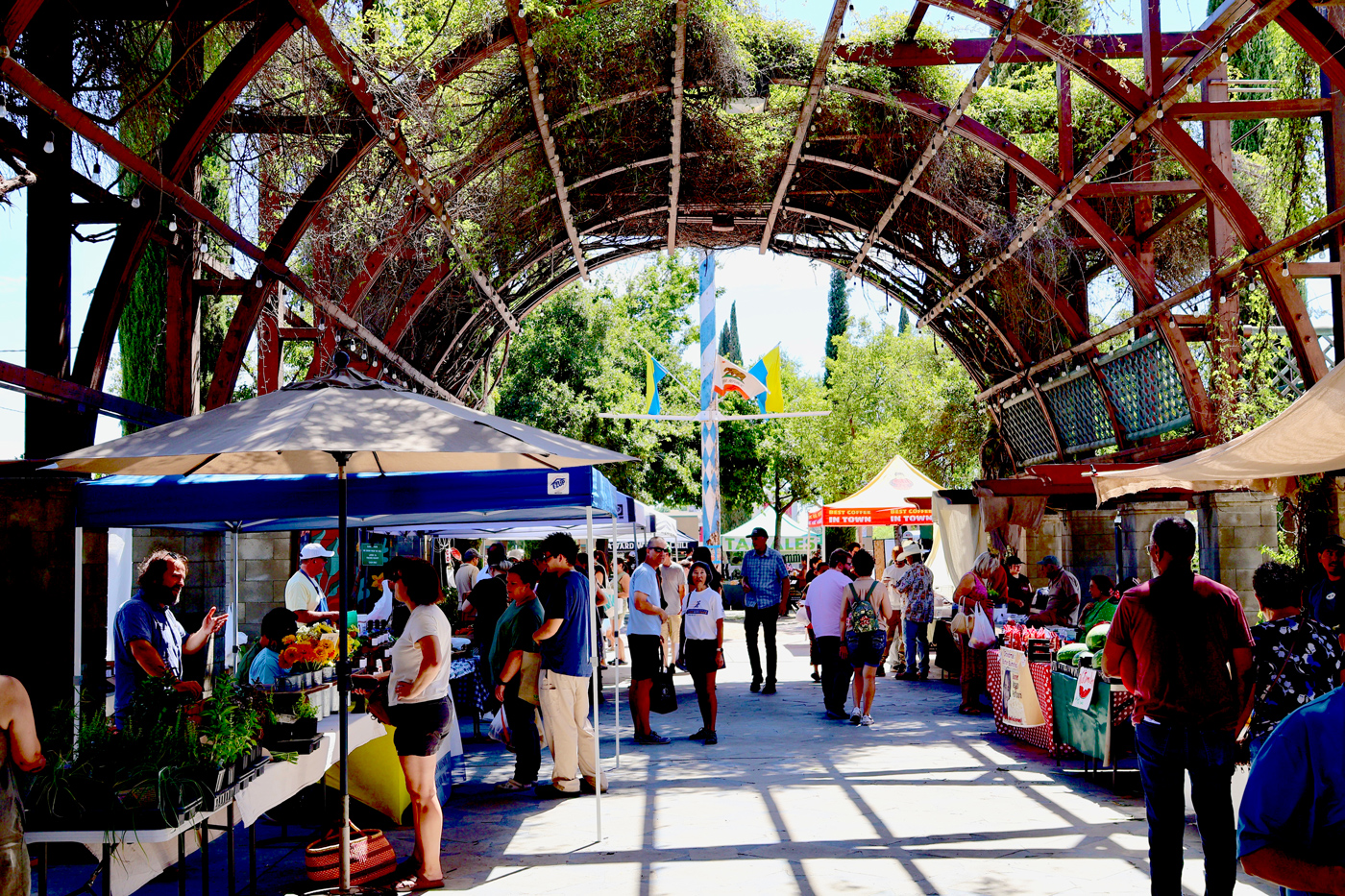 A guide to Fresno and Clovis farmers markets